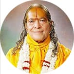 Sanatanavaidikadharma-pratishthapanasatsampradaya-paramacharya