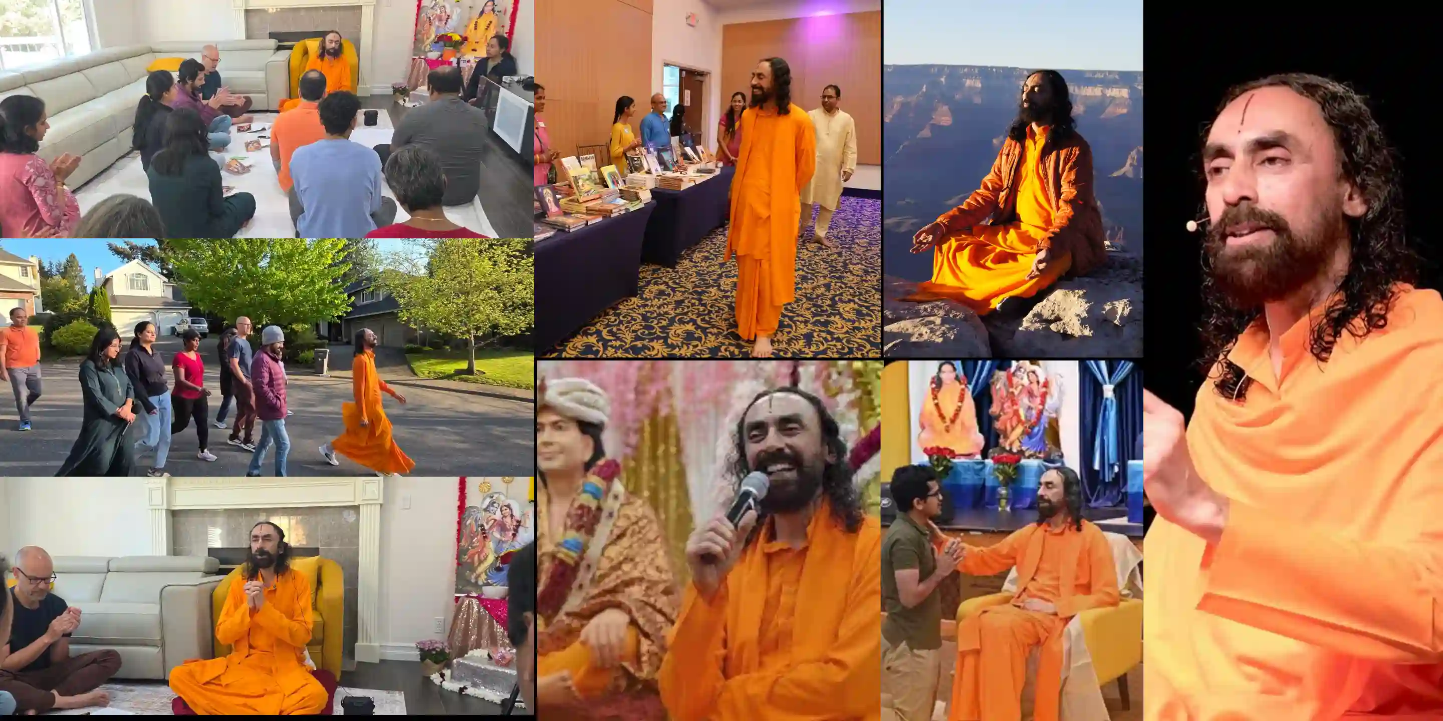 Morning Walks with Swamiji: The processions of the soul.